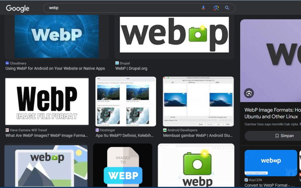4 Langkah Mudah Mengubah WebP ke PNG, JPG tanpa Converter 9 mengubah-webp-ke-png-jpg