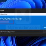 tampilkan password wi-fi Windows 11