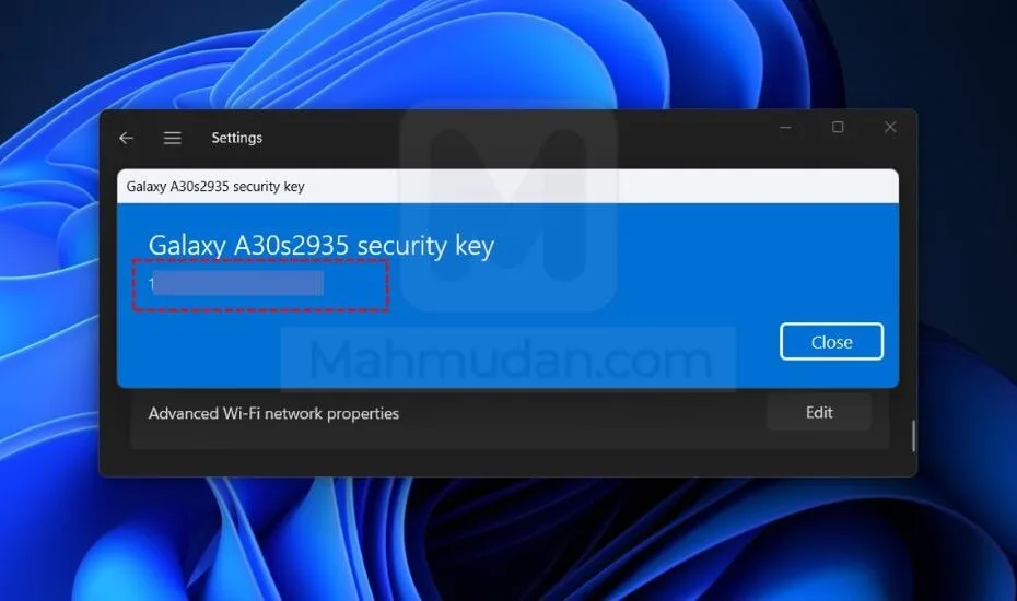 tampilkan password wi-fi Windows 11