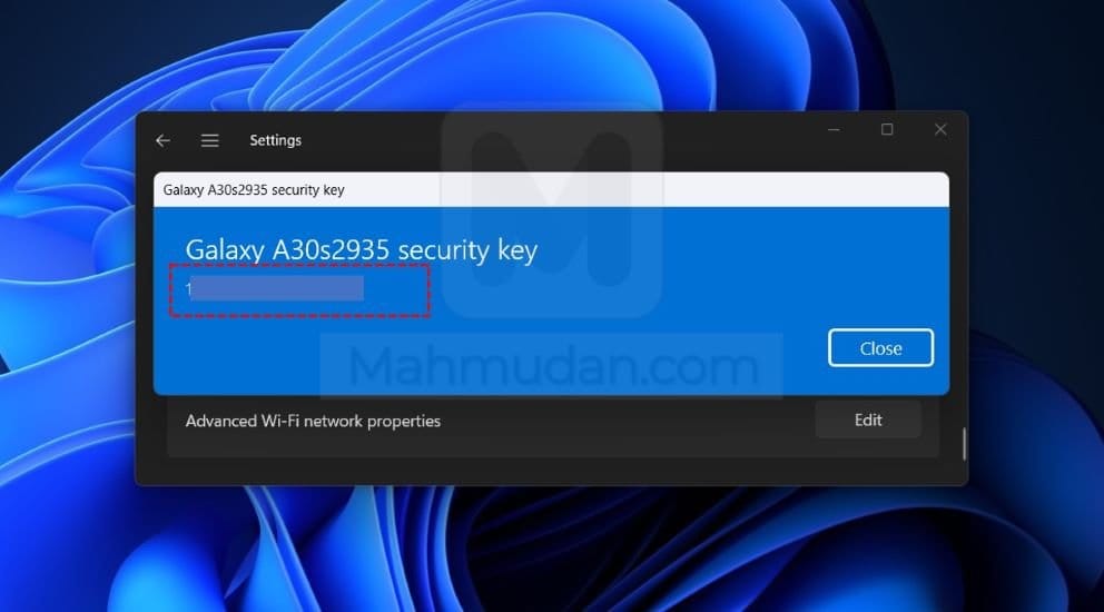 tampilkan password wi-fi Windows 11