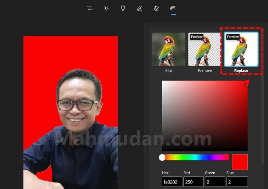 5 Easy Steps to Change Photo Background in Windows 11 5 mengganti latar foto di Photos